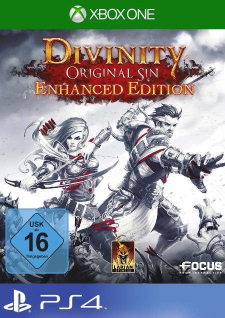 Divinity: Original Sin - Enhanced Edition - Der Packshot