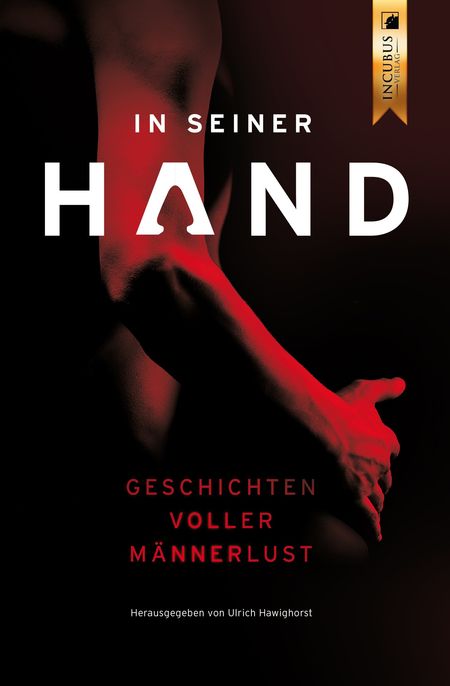 In seiner Hand: Geschichten voller Männerlust - Das Cover