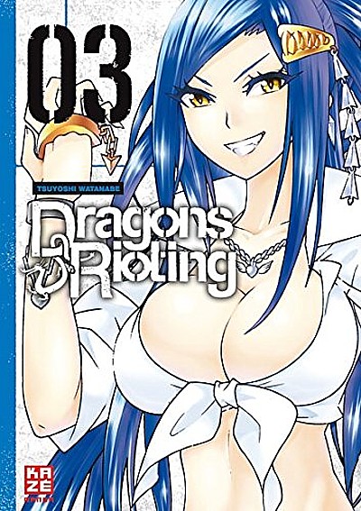 Dragons Rioting 3 - Das Cover