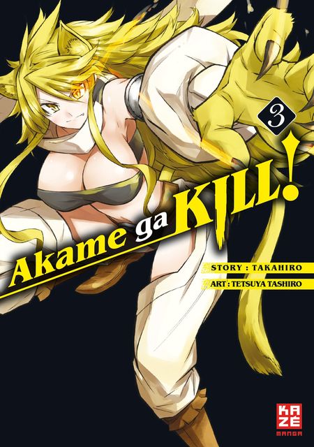 Akame ga KILL! 03 - Das Cover