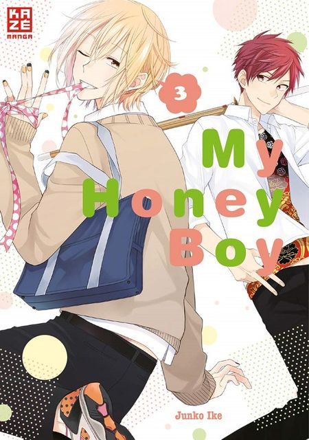 My Honey Boy 3 - Das Cover