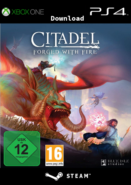 Citadel: Forged with Fire - Der Packshot