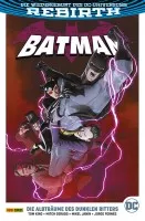 Batman 10: Die Alpträume des Dunklen Ritters - Das Cover