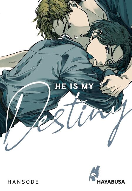 He is my Destiny  - Das Cover