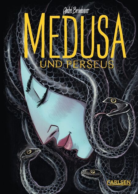Medusa und Perseus  - Das Cover