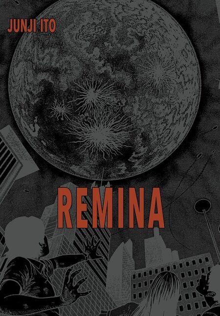 Remina - Das Cover