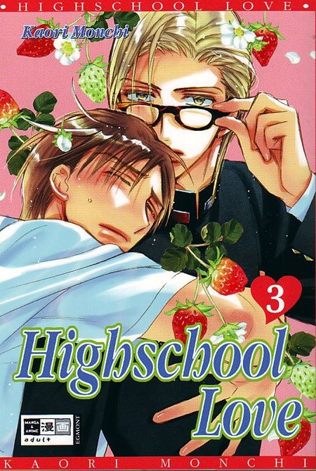 Highschool Love 3 - Das Cover