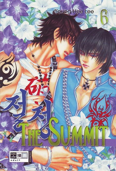 The Summit 6 - Das Cover