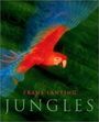 Jungles