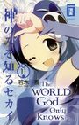 The World God only knows 11