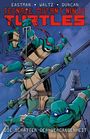 Teenage Mutant Ninja Turtles 4: Die Schatten der Vergangenheit