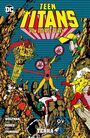 Teen Titans von George Perez: Terra
