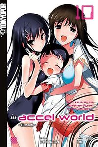  Accel World Novel 10: Elements - Klickt hier für die große Abbildung zur Rezension