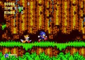 sonic3 knuckles 01