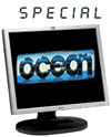 What happened to...Ocean Software?